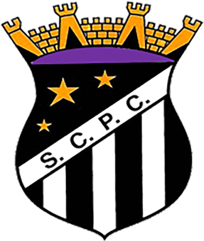 Penalva do Castelo Logo