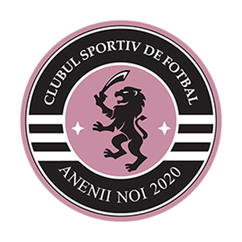 Anenii Noi W Logo