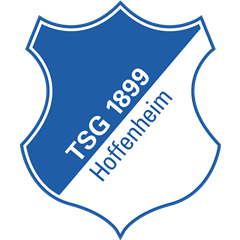 TSG Hoffenheim Logo