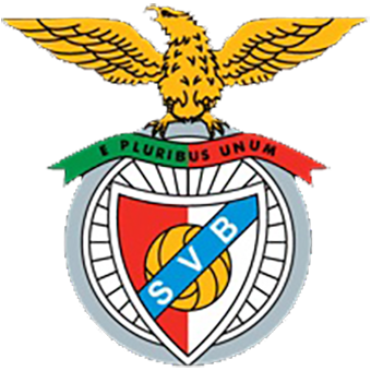 Viseu e Benfica Logo