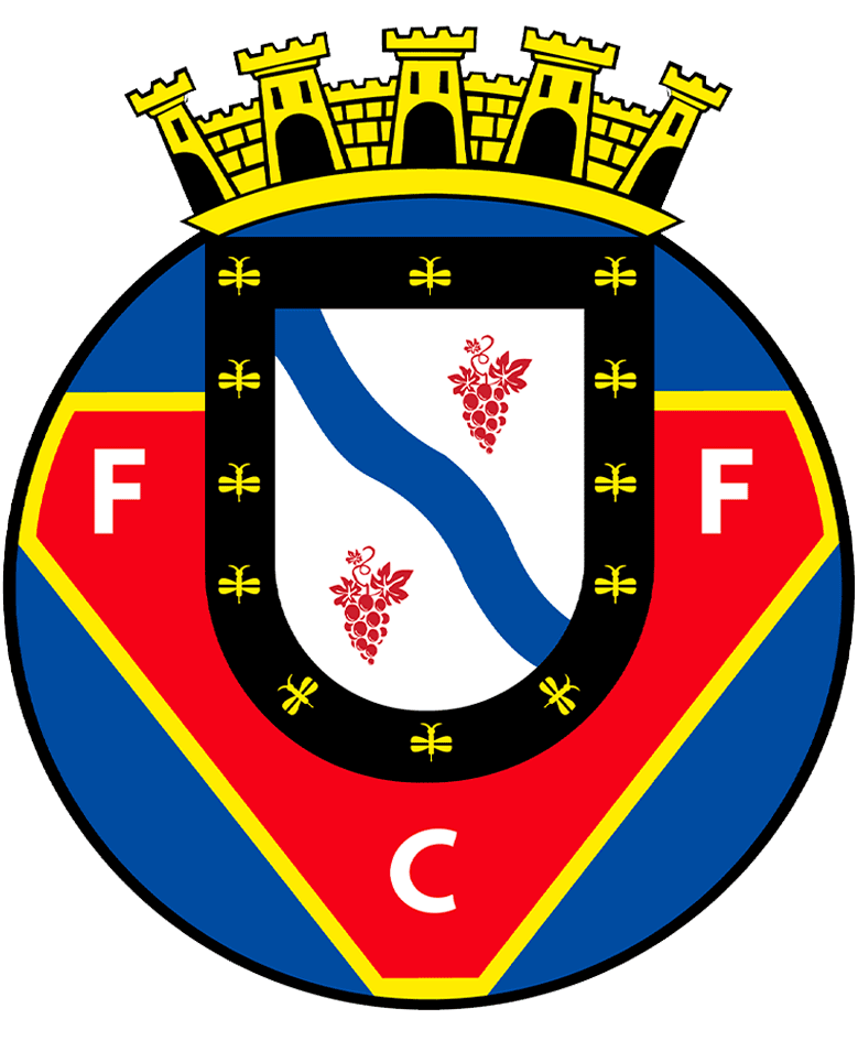 FC Felgueiras Logo