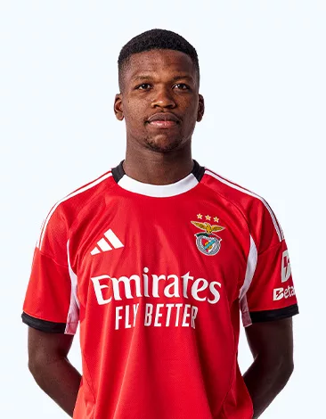 Florentino Luis