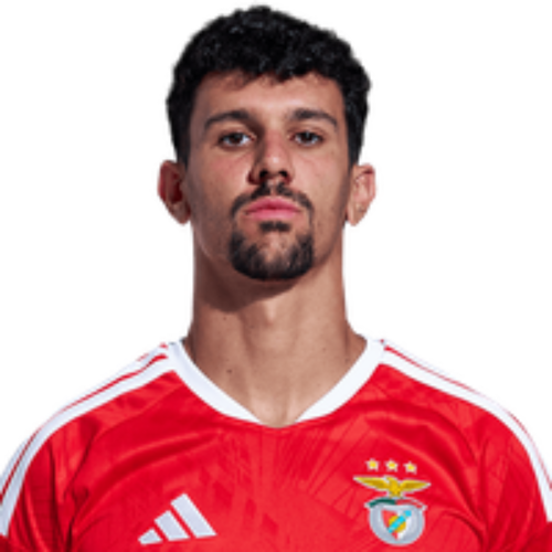 Tomás Araújo
