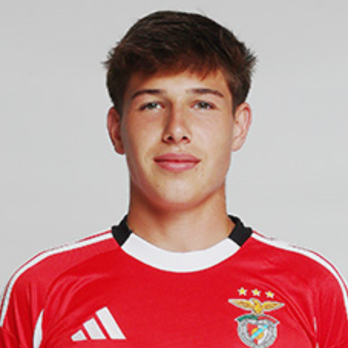 João Afonso