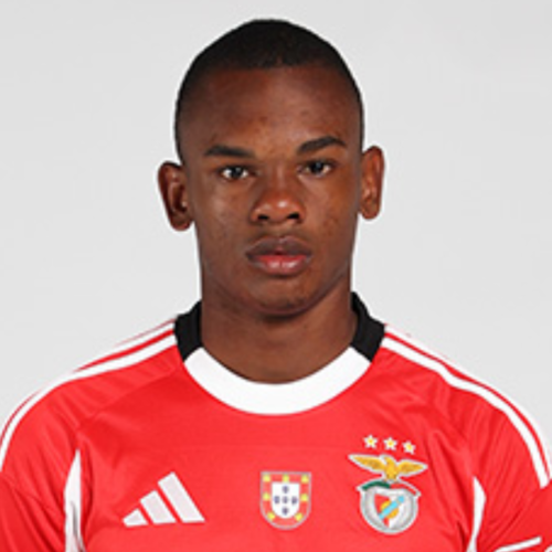 Ricardo Neto