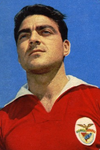 Mário João