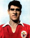 Raul Machado