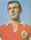 Jacinto