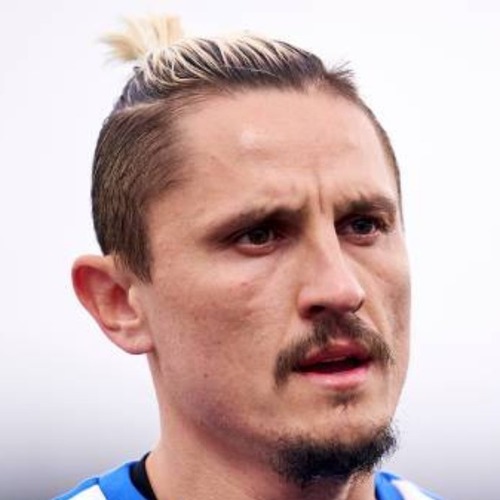 Ljubomir Fejsa