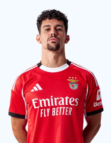 Tomás Araújo