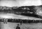 Campo da Amorosa